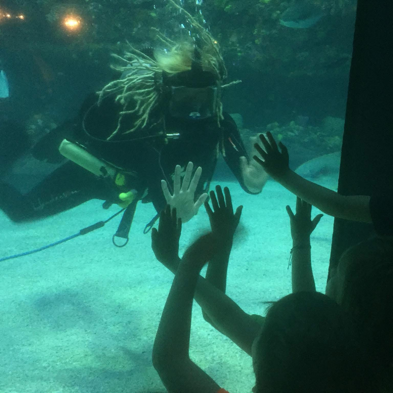 Children exploring ocean life at Ocean Lab